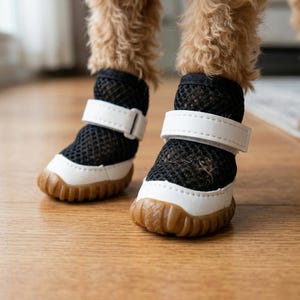 Pu&ograve; includere: Stivali per cani in rete nera con finiture e cinturini bianchi. Gli stivali hanno una suola in gomma marrone. Le zampe del cane sono visibili, con pelo marrone chiaro. Gli stivali sono progettati per proteggere le zampe del cane.