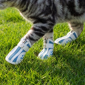 May include: A cat wearing white and blue pet boots with a zipper closure. The boots have a mesh design and are decorated with blue polka dots. The cat is standing on green grass.