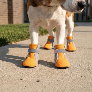 May include: A dog wearing four orange and gray dog boots with gray velcro straps. The boots have a mesh design on the sides and are designed to protect the dog's paws. The dog is standing on a concrete surface.