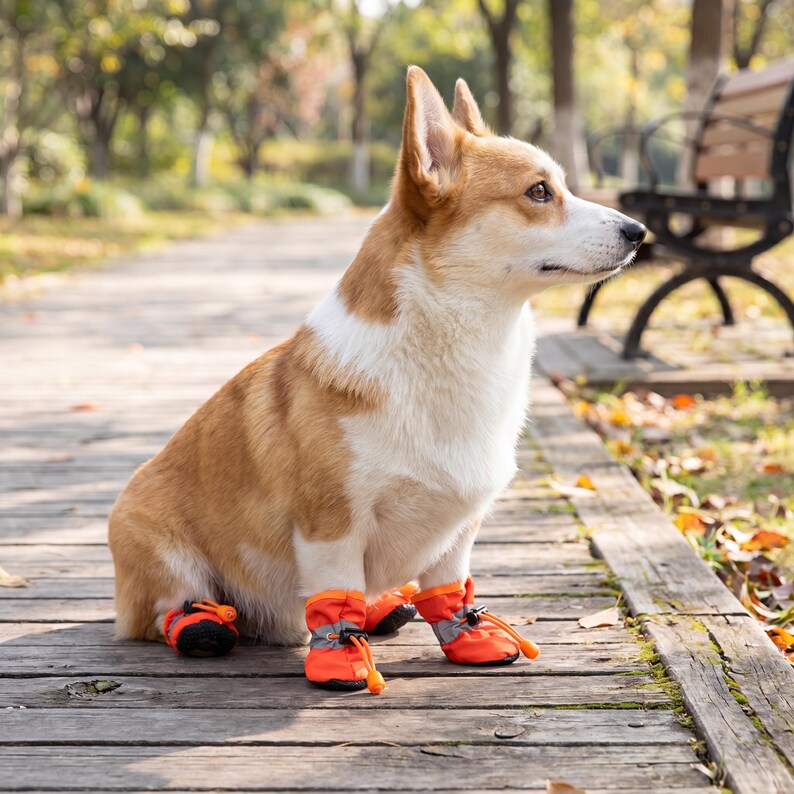 May include: A corgi dog with ginger and white fur sits on a wooden walkway, wearing orange dog boots. The boots have black accents and drawstrings. The dog is looking to the right, with a park background.