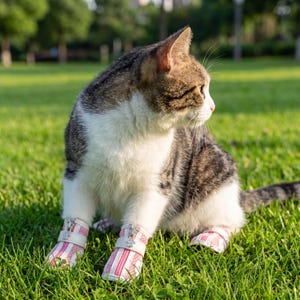 May include: A tabby cat with white markings sits on green grass, wearing pink and white striped pet shoes. The cat is looking to the side, with its ears perked up. The shoes have a velcro strap and a zipper.