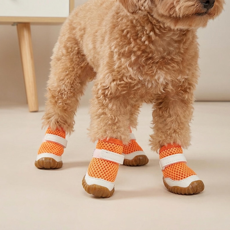 Scarpe per cani in rete traspirante, stivali estivi per cani, scarpe antiscivolo per animali domestici, scarpe da esterno per cani di piccola taglia, protezioni per le zampe dei cuccioli, scarpe da ginnastica leggere per cani Arancione