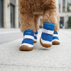 Scarpe per cani in rete traspirante, stivali estivi per cani, scarpe antiscivolo per animali domestici, scarpe da esterno per cani di piccola taglia, protezioni per le zampe dei cuccioli, scarpe da ginnastica leggere per cani immagine 11