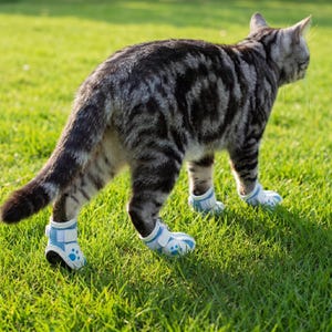 May include: A gray tabby cat wearing light blue and white pet boots with paw print details, standing on green grass. The boots have velcro straps for secure fit. The cat is outdoors in natural sunlight.