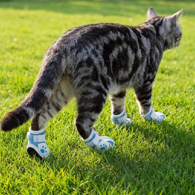 May include: A gray tabby cat wearing light blue and white pet boots with paw print details, standing on green grass. The boots have velcro straps for secure fit. The cat is outdoors in natural sunlight.