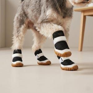 Pu&ograve; includere: Un cane indossa quattro stivali neri in rete per cani con cinturini bianchi e suole marroni. Gli stivali sono progettati per proteggere le zampe del cane. Il cane &egrave; in piedi su una superficie di colore chiaro.