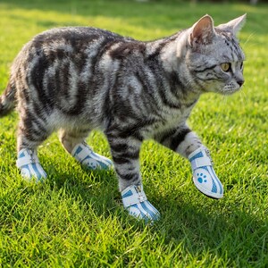 May include: A gray tabby cat wearing blue and white pet booties with paw print details, walking on green grass. The cat's fur has a distinctive striped pattern. The booties have a zipper closure and velcro straps.