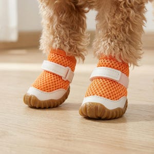 Pu&ograve; includere: Stivaletti arancioni in rete per cani con dettagli bianchi e cinturini regolabili. Gli stivaletti hanno una suola in gomma marrone. Il pelo del cane &egrave; marrone chiaro e soffice.