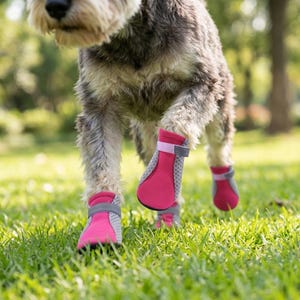 May include: A dog wearing pink and gray dog boots while walking on green grass. The boots have a mesh design and adjustable straps. The dog is a medium-sized breed with gray and white fur.