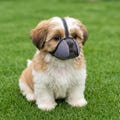 Breathable Mesh Dog Muzzle, Adjustable Pet Muzzle, Small Dog Training Muzzle, Lightweight Grooming Aid product logo