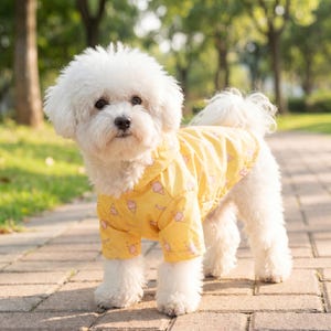 以下が含まれることがあります： アイスクリームコーンのパターンが繰り返された黄色の犬用シャツを着た、ふわふわの白い犬。犬は公園のレンガの歩道に立っており、背景には木や緑があります。犬はカメラをまっすぐ見ています。