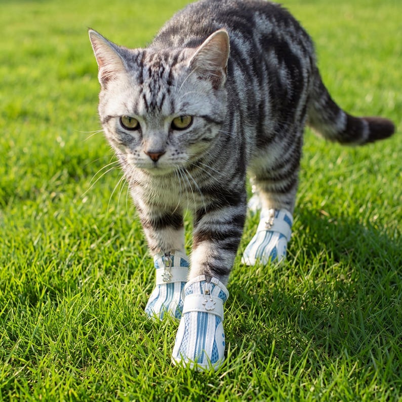 May include: A gray tabby cat wearing blue and white striped pet shoes walks on green grass. The cat's fur has dark stripes, and its eyes are yellow. The shoes have a zipper and a small decorative emblem.