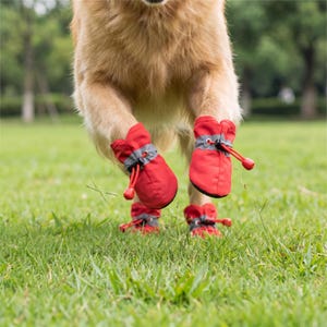 May include: A dog running on grass, wearing red dog boots with grey detailing. The boots have drawstrings. The dog's paws are off the ground. The boots are designed to protect the dog's paws.