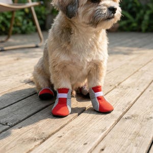 May include: A small dog wearing red and gray dog boots with white straps. The boots have a mesh design and are on the dog's front and back paws. The dog is sitting on a wooden deck.