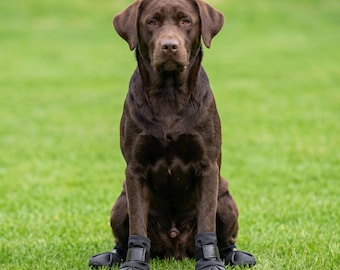 Waterproof Dog Boots, Anti-Slip Paw Protector, PU Leather Outdoor Footwear