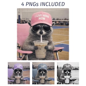 May include: A digital image featuring a raccoon wearing sunglasses and a pink cap with the text "I LIVE HERE NOW." The raccoon is sitting in a pink chair, drinking from a clear cup with a straw. Additional images are included.