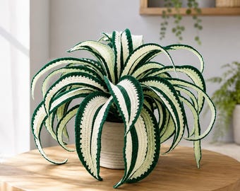 Patrón de planta araña de ganchillo en PDF / Planta araña de ganchillo en maceta / Planta araña amigurumi / Tutorial de decoración de plantas DIY