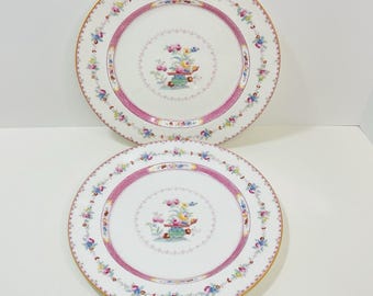 Antique Royal Doulton England E7319 Dinner Plates Pink Floral Garden Urn 1911