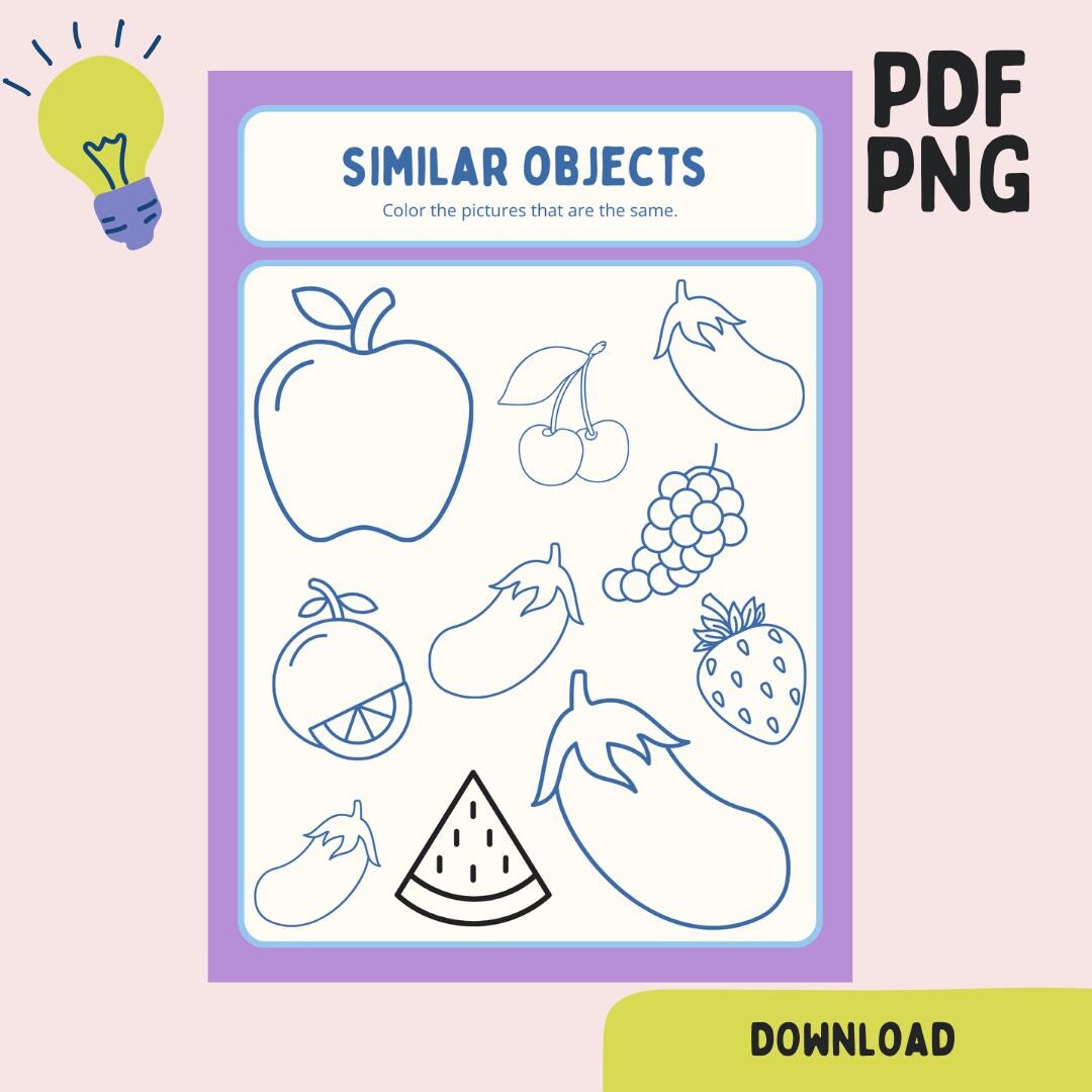 Same and Different Activity Book | Visual Discrimination Games (PDF PNG ...