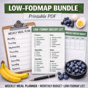 Paquete de planificación de comidas bajas en FODMAP / Planificador semanal, lista de compras, seguimiento de presupuesto (tamaño carta estadounidense, A4)