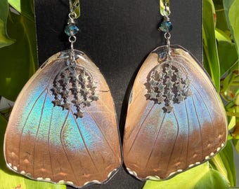 Real Blue Morpho Butterfly Wing Earrings – Nature Inspired Oddities Jewelry – Handmade Celestial Statement Earrings