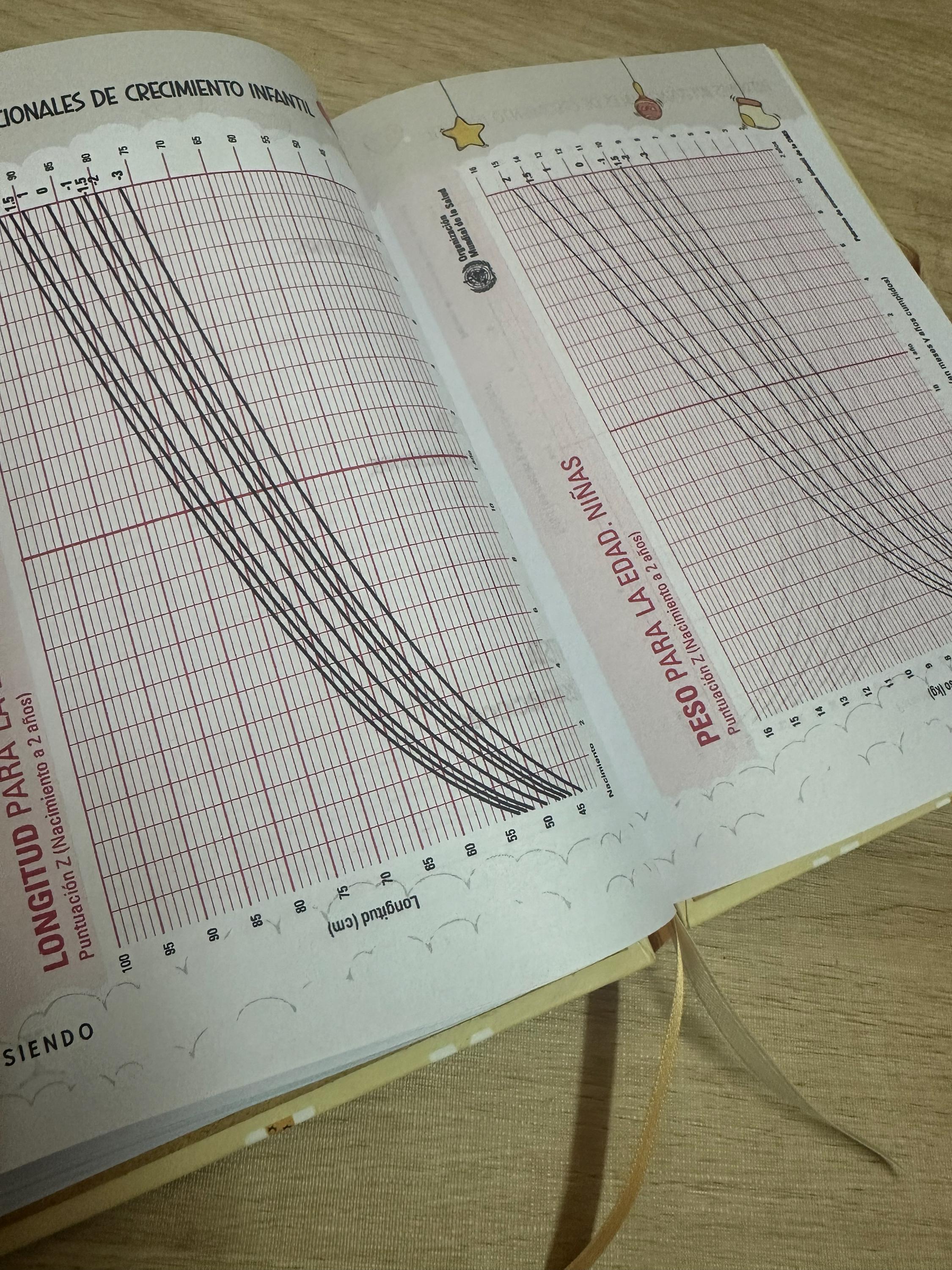 Digital Pediatric Notebook PDF | Printable Child Medical Record | Child ...