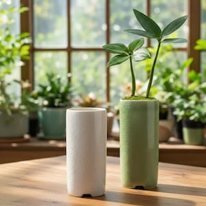 Puede incluir: Dos macetas cilíndricas de cerámica, una blanca y otra verde claro, sobre una mesa de madera. La maceta verde contiene una pequeña planta con hojas verdes. El fondo presenta una ventana con otras plantas.