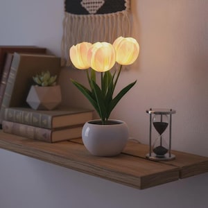 Puede incluir: Una lámpara decorativa con forma de tulipán con tres cabezas de flores iluminadas en una maceta de cerámica blanca. La lámpara está sobre una estantería de madera con libros y una pequeña planta suculenta. También hay un reloj de arena.