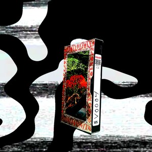 May include: A VHS video cassette with a vibrant cover depicting a red flower and green leaves. The tape is labelled with "V0004" and "VHS". The background is a blend of black and white abstract patterns.