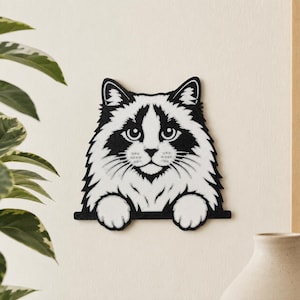 Decoración de pared con diseño de gato Ragdoll / Gato asomándose de 15 cm (tiras adhesivas Command incluidas)