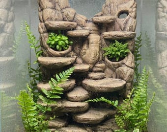Puede incluir: Un fondo decorativo para terrario con una estructura rocosa en capas con jardineras integradas. Plantas verdes exuberantes y helechos se encuentran en las formaciones rocosas, creando un ambiente naturalista. El fondo está diseñado para encajar dentro de un terrario de vidrio.