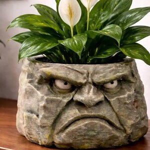 Maceta de piedra gruñona / Maceta pequeña, gran personalidad