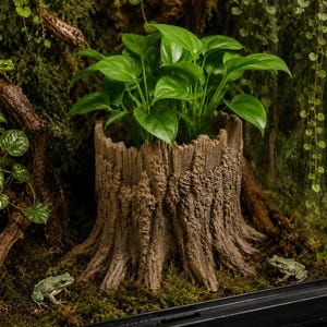 Peut inclure: Un pot de fleurs en forme de souche d'arbre marron rempli de plantes vertes à feuilles. Le pot est entouré de mousse, de branches et de petites grenouilles vertes. La scène se déroule à l'intérieur d'un terrarium.