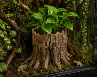 Baumstumpf Pflanzgefäß | Terrarium & Vivarium Dekor | DnD, War- und Spiel-Gelände | Benutzerdefinierte Größen und Leucht- / Farboptionen