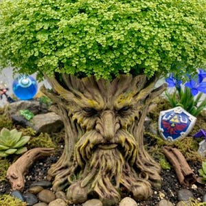 Könnte beinhalten: Ein Terrarium mit einer baumartigen Skulptur mit einem Gesicht, gekrönt von grünem Laub. Miniaturfiguren eines Schildes, eines Schwertes und einer blauen Kugel sind zwischen den Pflanzen und Steinen platziert. Das Gesamtthema ist Fantasie und Natur.