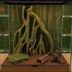 May include: A glass terrarium with a naturalistic interior. It features a large, textured, artificial tree root structure, a green rock, and wood pieces on a brown substrate. The background has a forest-themed backdrop.