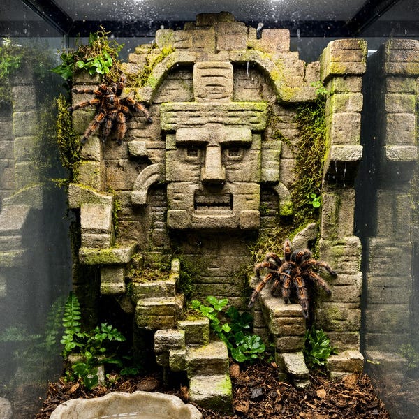 Aztec-Like Stone Face 3D Background | Terrarium & Vivarium Decor | DnD, Wargaming Terrain | Custom Sizes and Glow/Color Options