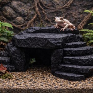 May include: A detailed terrarium scene featuring a black rock structure with steps and a small cave. A light-colored frog sits atop the structure, with another frog visible inside. Green plants and a gravel base complete the naturalistic setting.