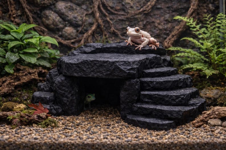 May include: A detailed terrarium scene featuring a black rock structure with steps and a small cave. A light-colored frog sits atop the structure, with another frog visible inside. Green plants and a gravel base complete the naturalistic setting.