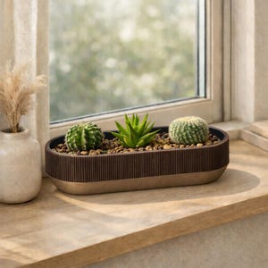 Può includere: Una fioriera rettangolare marrone e beige con tre piccoli cactus e piante grasse. La fioriera è riempita di piccoli ciottoli e si trova su un davanzale di legno. Un vaso con piante secche è a sinistra.