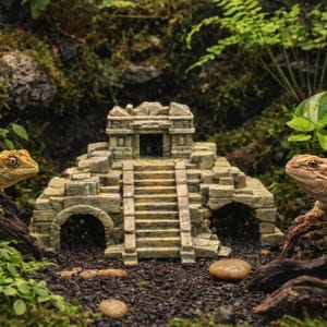 May include: A miniature stone temple with steps and archways is the focal point, flanked by two lizards in a terrarium setting. One lizard is yellow-green, the other brown. The scene is surrounded by green plants and dark soil.