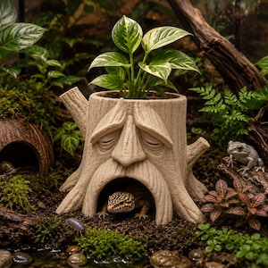 Deku Tree Cave Planter | Aquarium Terrarium Vivarium & Tank Decor | Fantasy Flower Pot |  Custom Sizes and Color Options