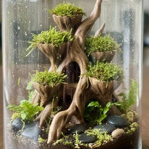 May include: A terrarium in a clear glass jar. Inside, a miniature landscape features a wooden structure with moss-filled platforms, small plants, and dark stones. The jar is on a wooden surface.