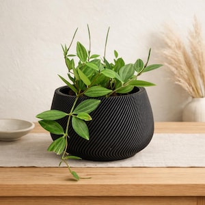 May include: A black, textured planter pot with a diagonal ribbed design, holding a vibrant green plant with multiple leaves. The plant's stems extend outward, creating a natural, organic aesthetic. The pot sits on a wooden surface.