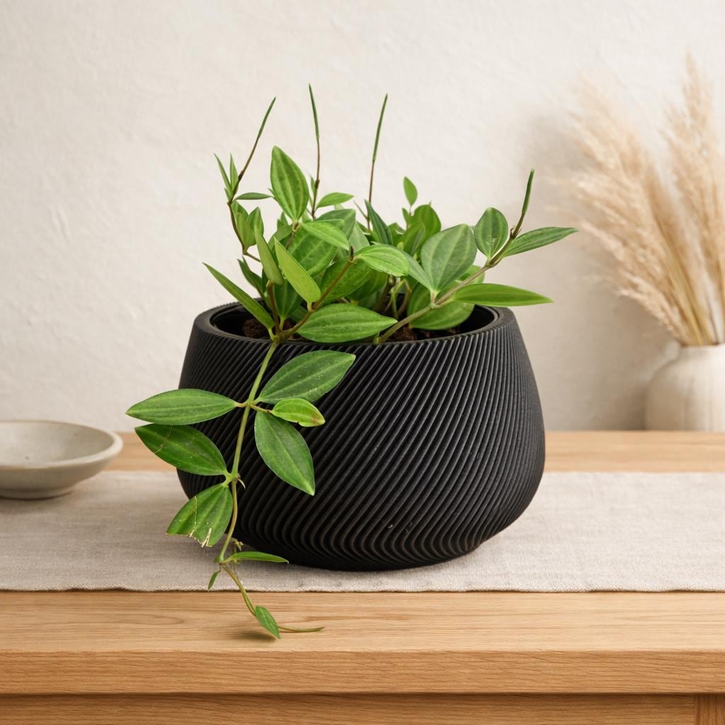 Zenflow Luxury Self-watering Planter | Elegant Sculptural Pot ...