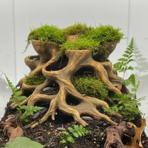 Peut inclure: Centre de terrarium détaillé avec une structure sculptée en forme d'arbre avec de multiples plateformes remplies de mousse verte vibrante. Des fougères et d'autres petites plantes jaillissent de la base et des côtés, créant un écosystème miniature.