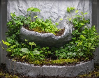 Planter Pool 3D Background | Terrarium Vivarium Living Wall | Dual Planter Rock Backdrop | Bioactive Moss Wall | Glow-in-the-Dark Option