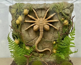 Può includere: Un terrario con una scultura beige di Xenomorph face-hugger su uno sfondo strutturato simile alla pietra. La scultura è incorniciata da felci verdi, muschio e strutture gialle a forma di uovo, creando un'esposizione naturalistica a tema fantascientifico.