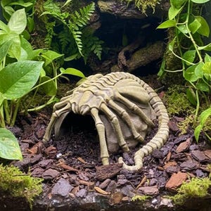 May include: A tan-coloured, detailed sculpture of an alien creature, resembling a facehugger, is nestled in a terrarium. The terrarium is filled with dark soil, green plants, moss, and wood chips, creating a naturalistic environment.