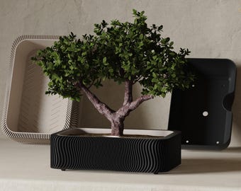 Japandi Suiban Self-Watering Bonsai Planter and Tray | Minimalist Decor | Customizable Sizes and Colors